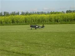 PICT1795.JPG